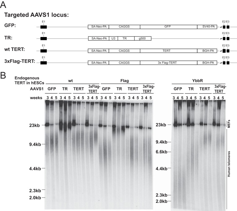 FIG 6