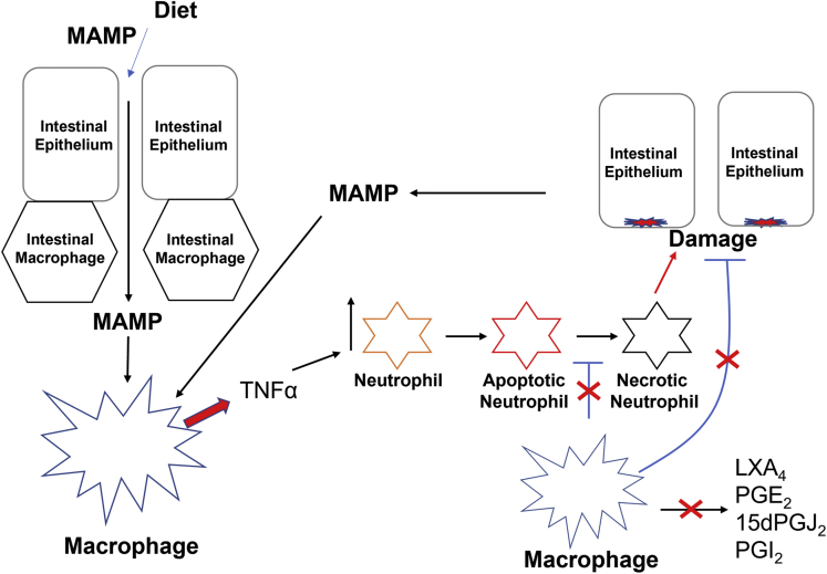 Figure 14