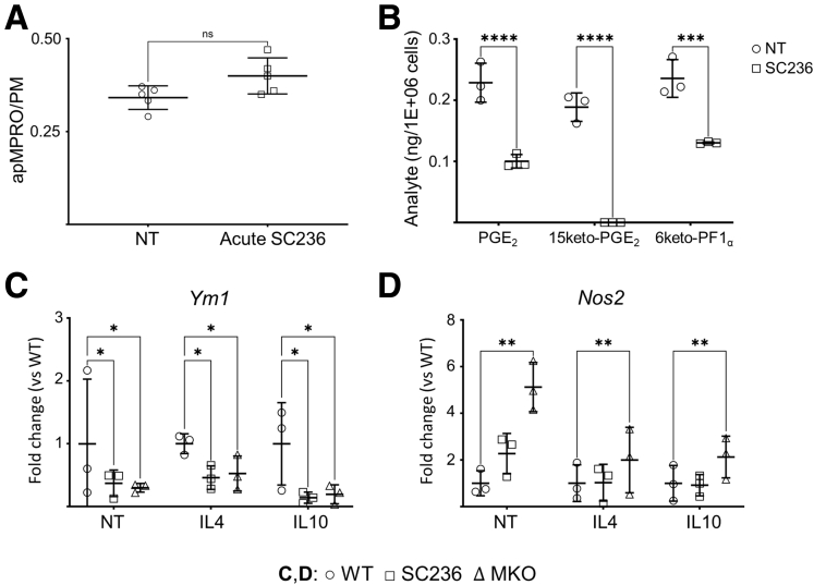 Figure 7