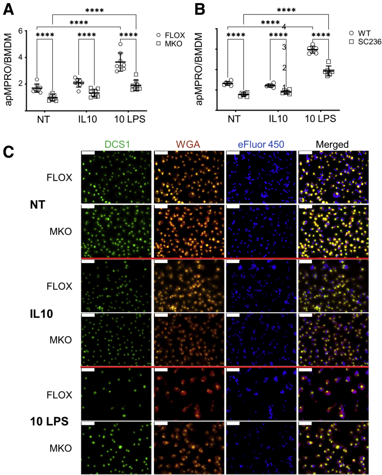 Figure 4