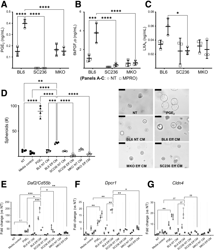 Figure 13