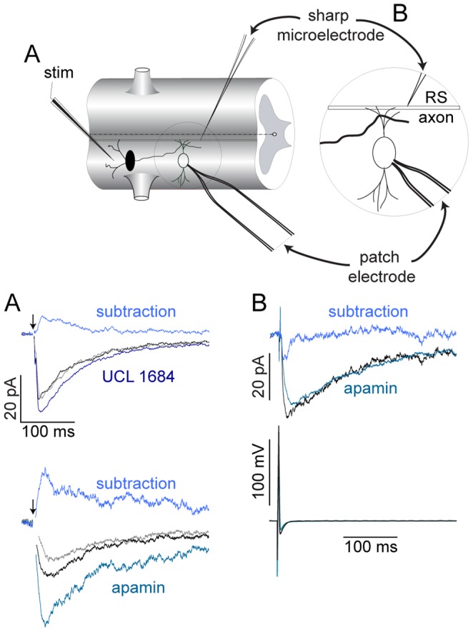 Figure 12