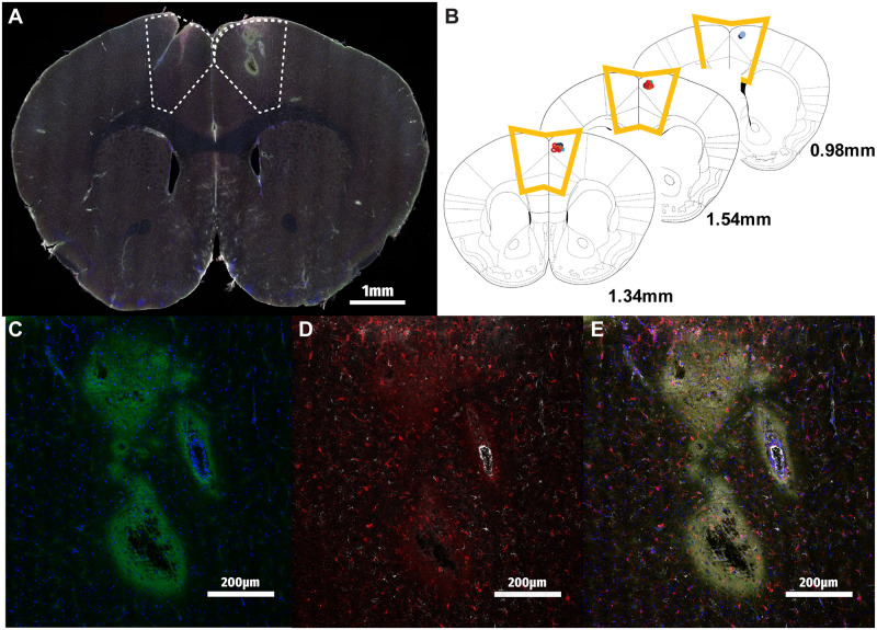 Fig 3