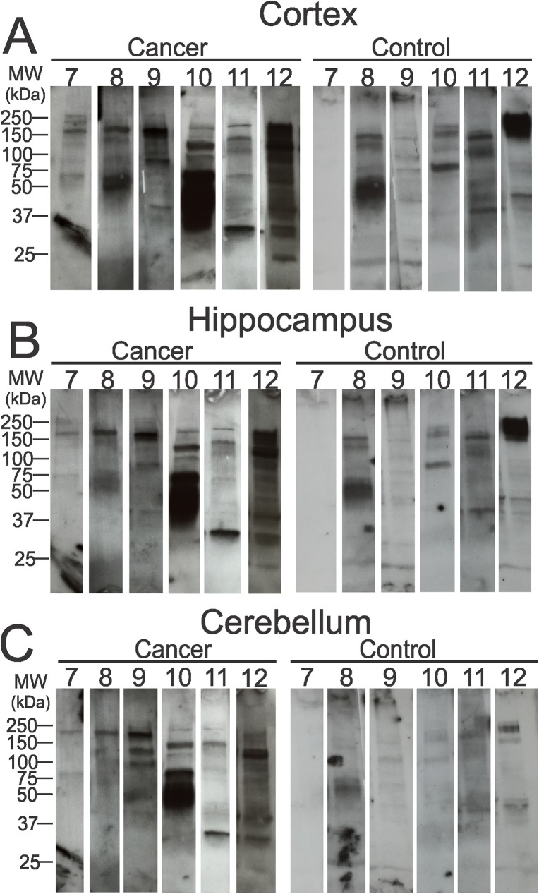 Fig 5