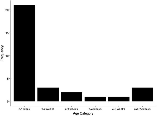 Fig. 2