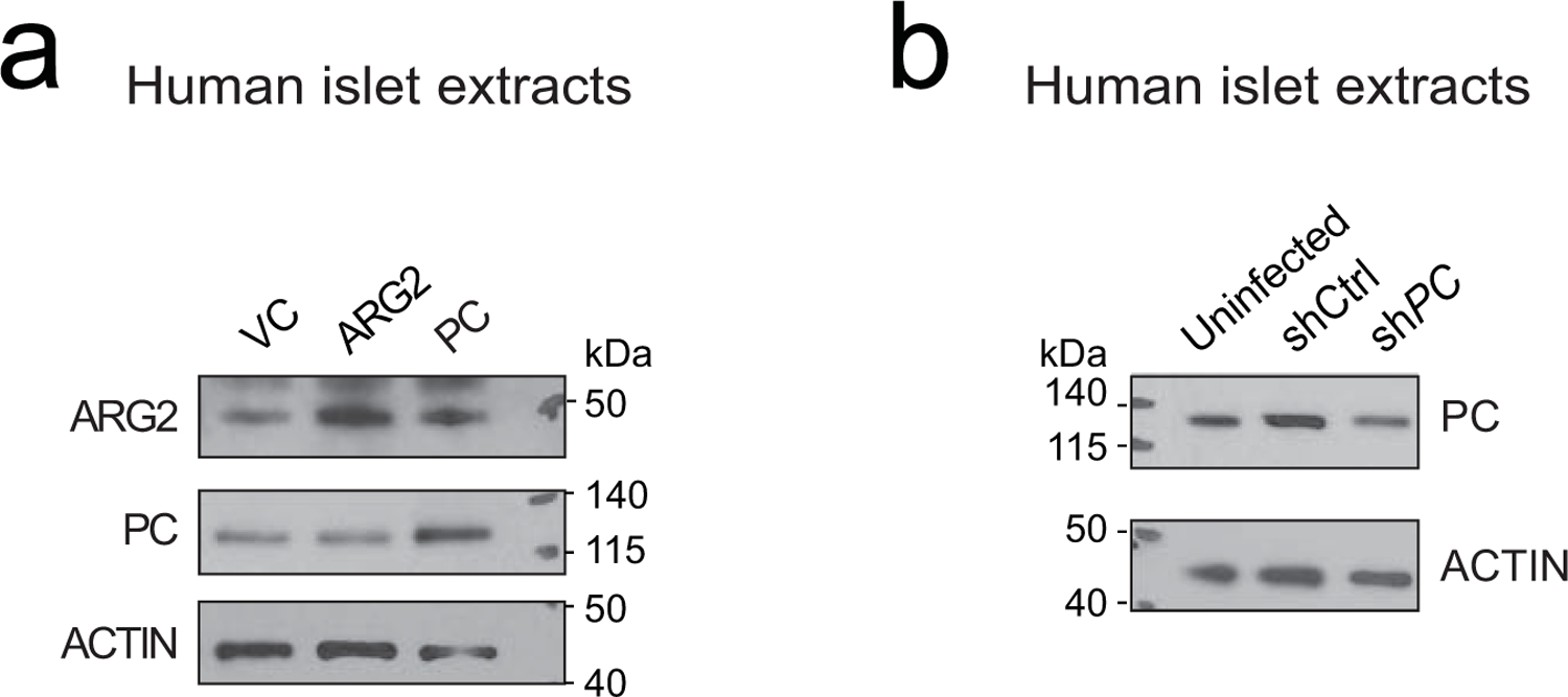 Extended Data Fig. 7