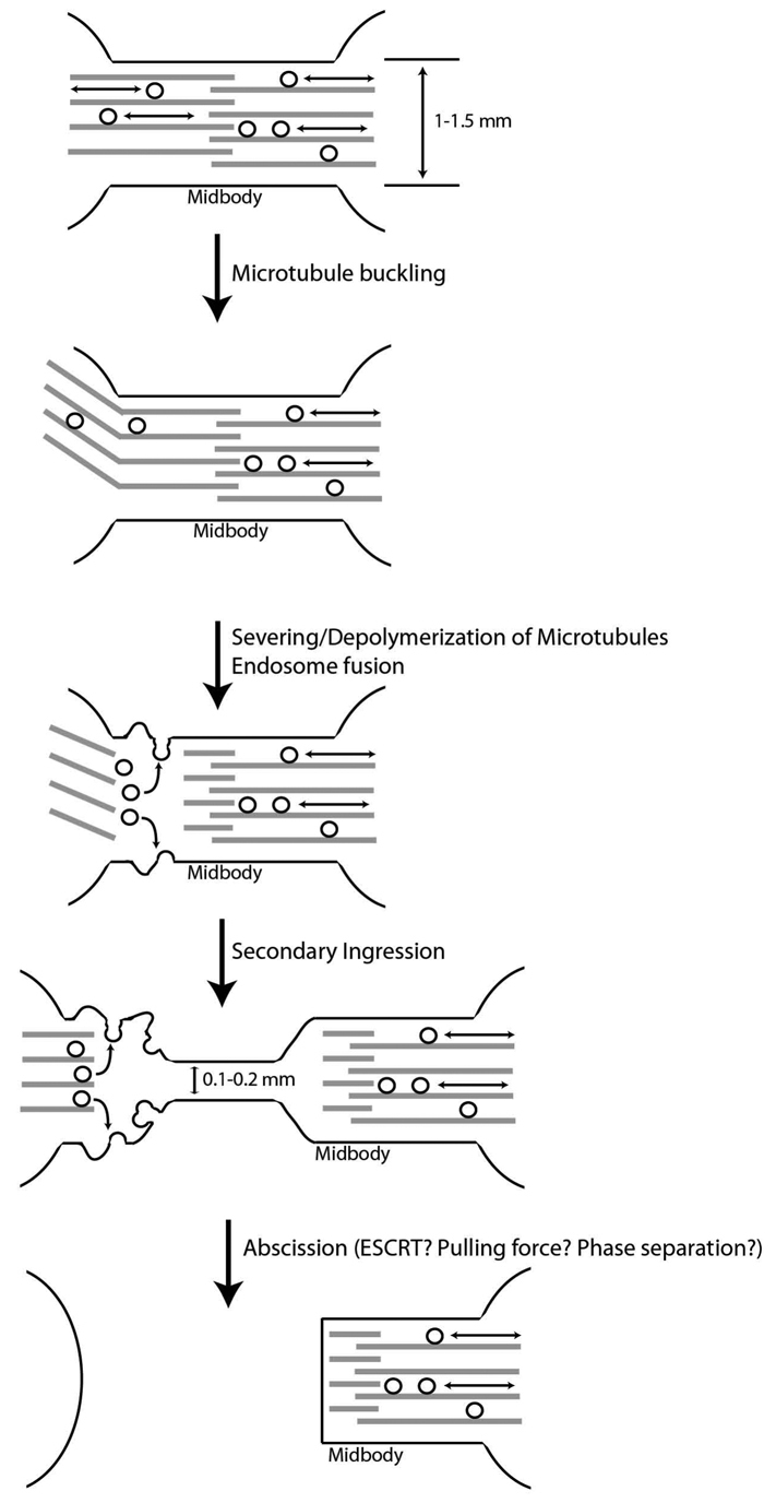 Fig. 9.