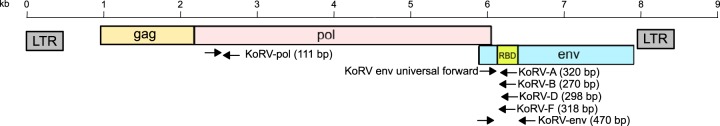 FIG 1