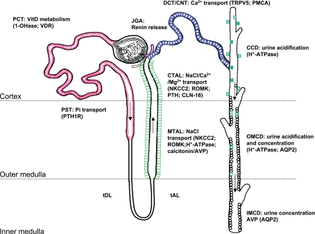 Fig. 1.