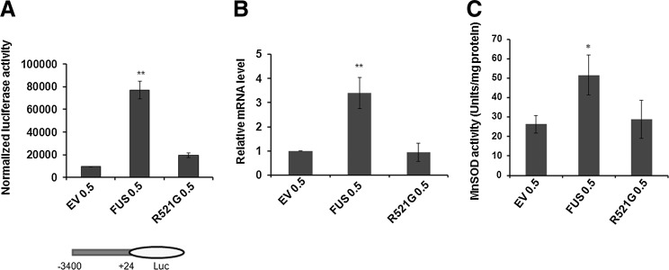 FIG. 3.