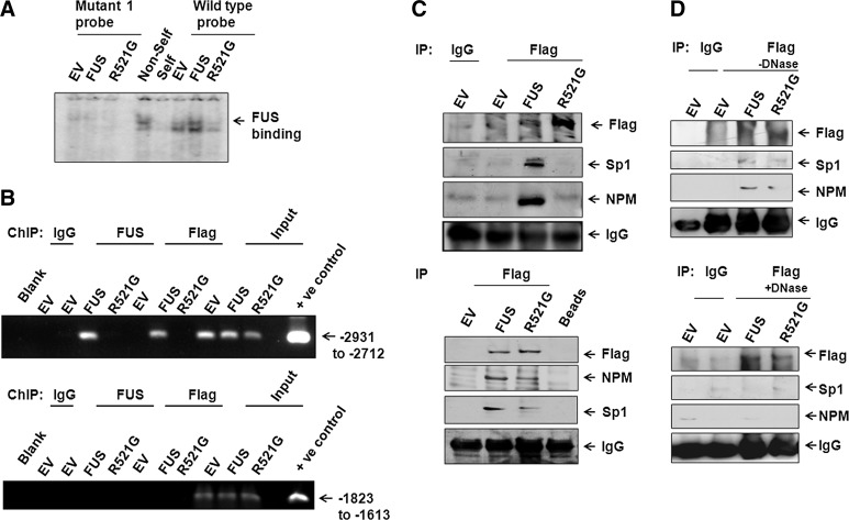 FIG. 8.