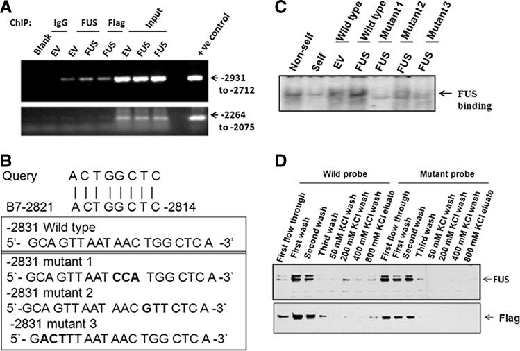 FIG. 6.