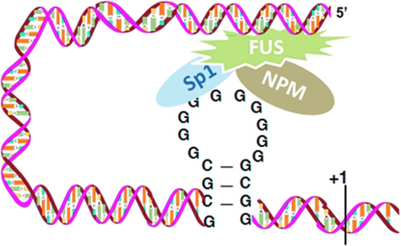 FIG. 10.