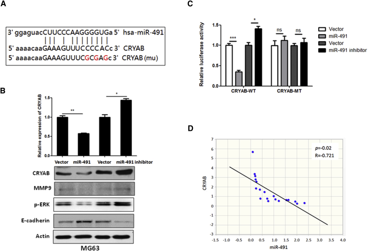 Figure 4