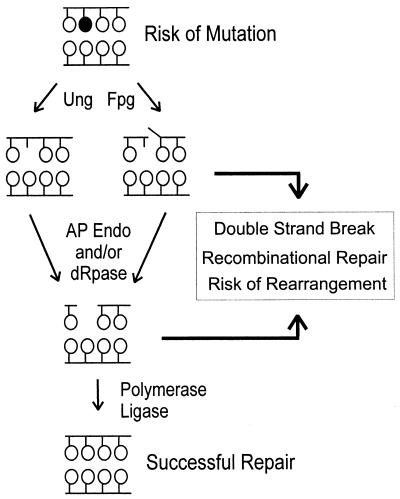 FIG. 5.