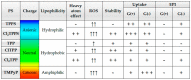 Figure 21