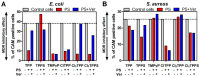 Figure 20