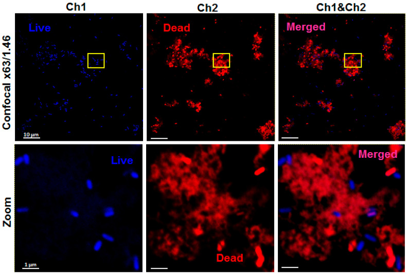 Figure 19