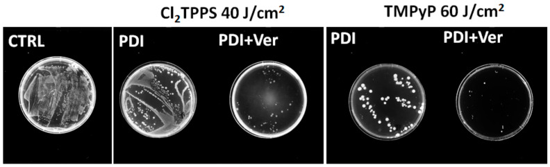 Figure 17