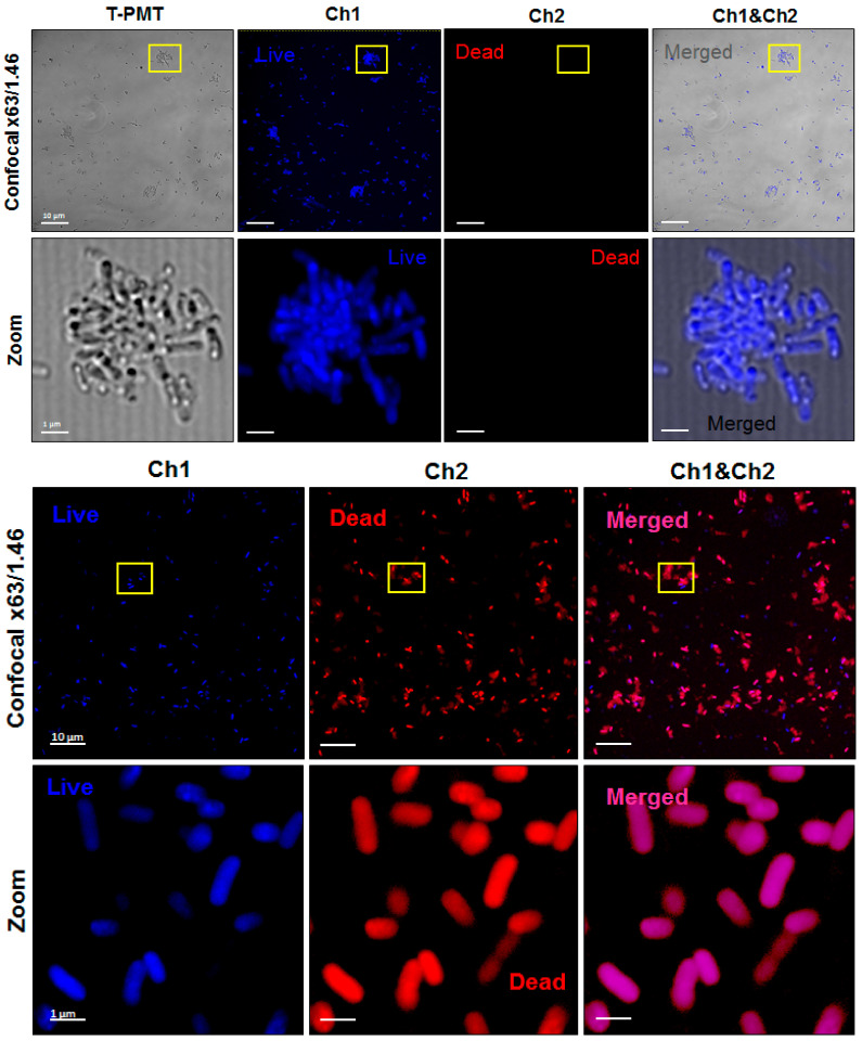 Figure 19