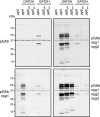 FIG. 8.