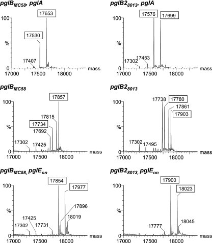 FIG. 6.