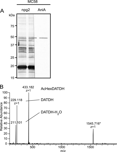 FIG. 5.