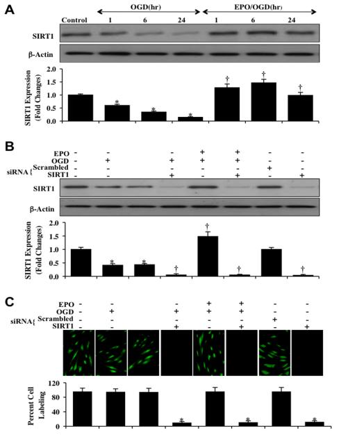 Fig. (3)