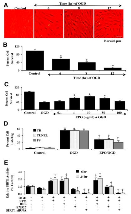 Fig. (1)