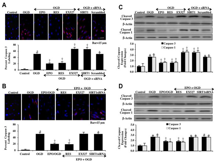 Fig. (8)