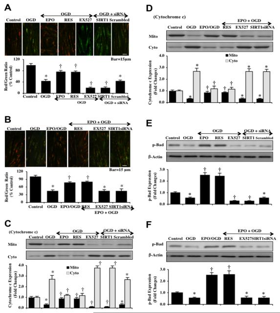 Fig. (7)