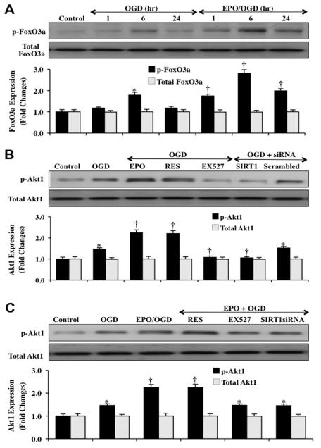 Fig. (5)