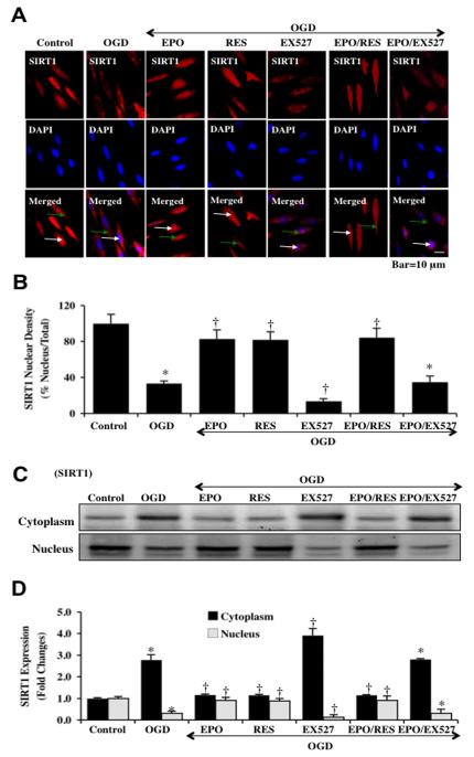 Fig. (2)