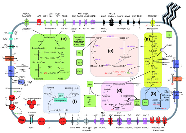 Figure 5