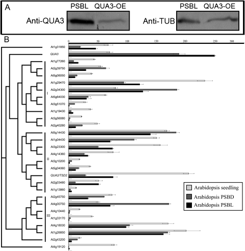 Fig. 10.