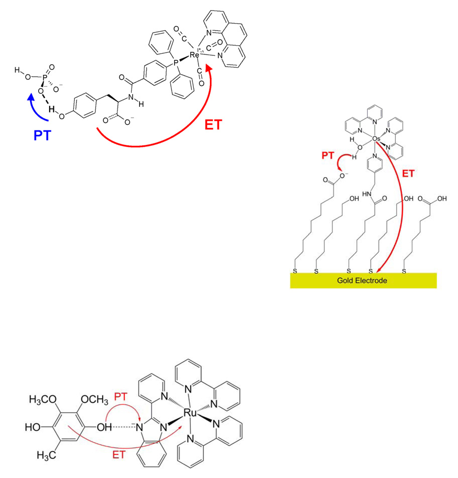 Fig. 11