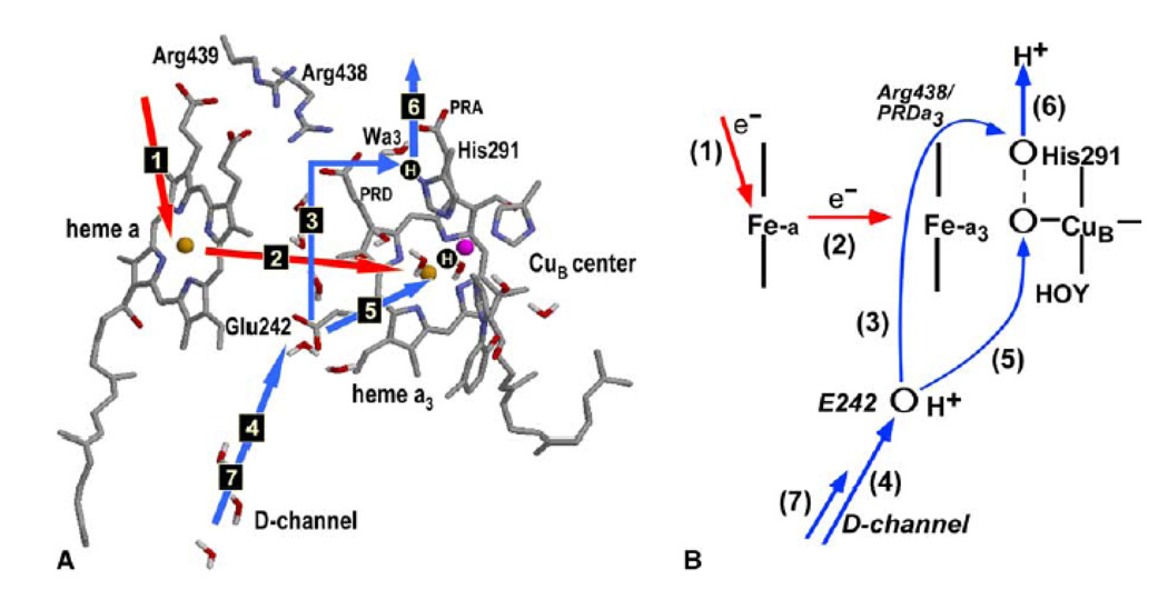 Fig. 12