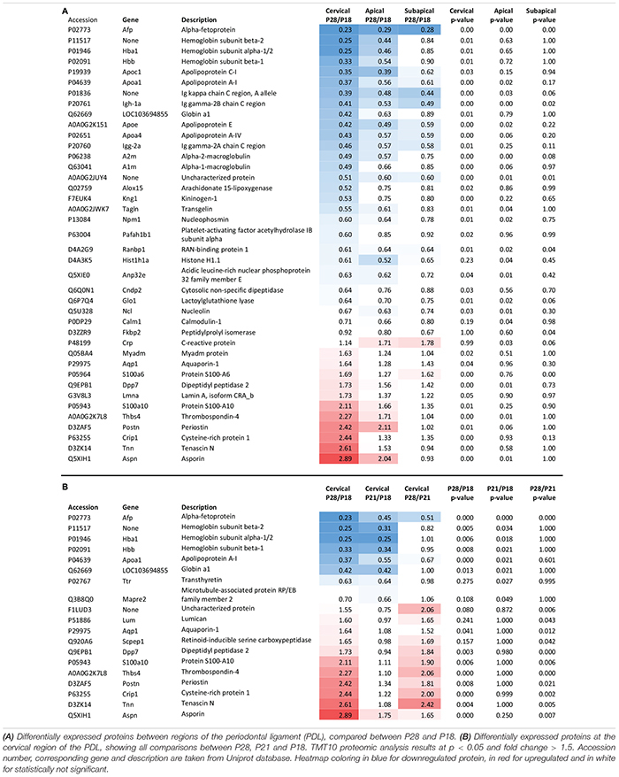 graphic file with name fphys-11-00174-i002.jpg