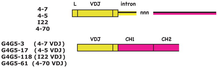 Figure 5