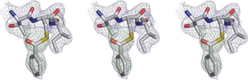 Fig. 3