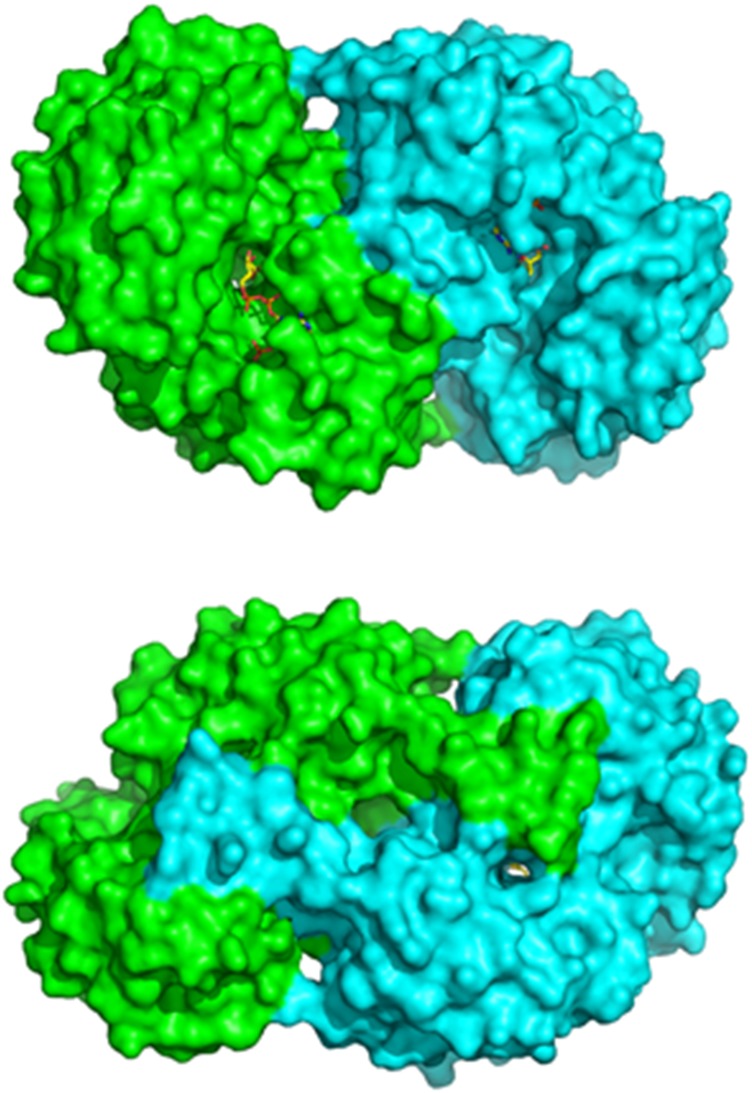 Fig. 2