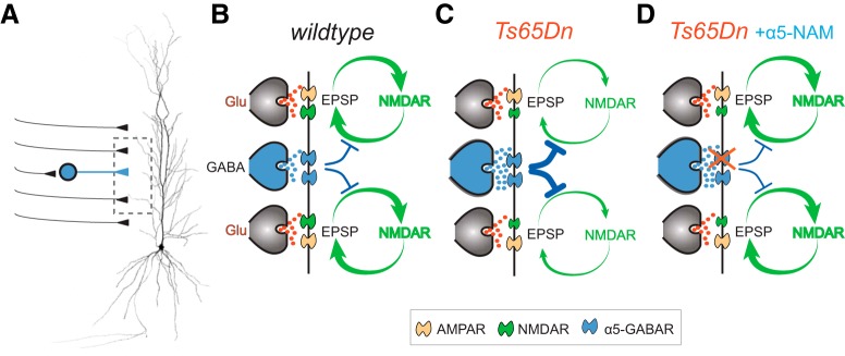 Figure 7.