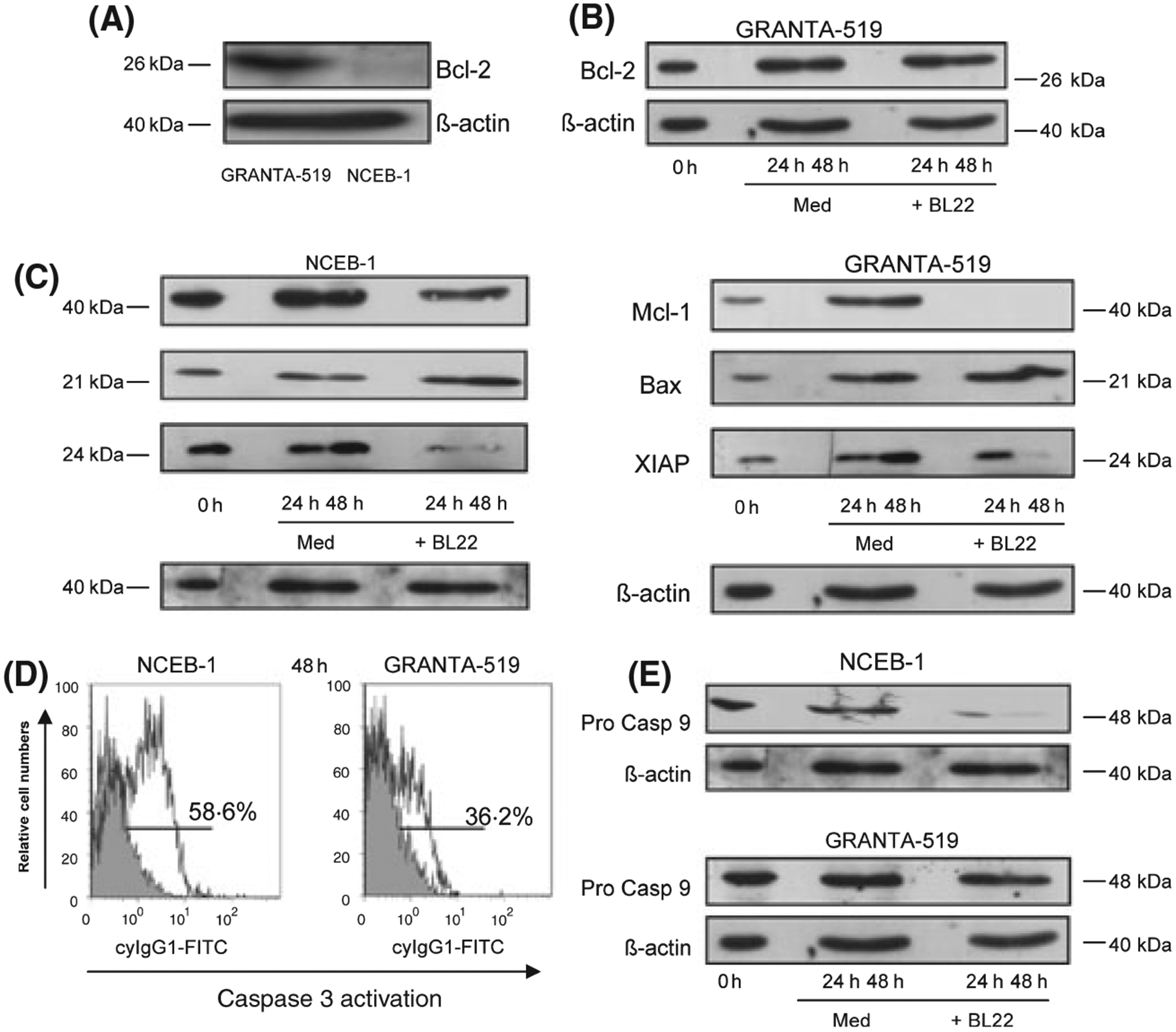 Fig 3.