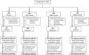 Figure 1 is a flowchart, having five steps. Step 1: Randomized (lowercase n equals 1,300) leads to 260 Placebo, 260 4,200 international units per week, 260 16,800 international units per week, and 520 28,000 international units per week. Step 2: In 260 Placebo after 5 exclusions or withdrawals, including 1 maternal death, 1 protocol violations, and 3 lost to follow-up leads to 255 deliveries. In 255 deliveries, 165 samples were maternal and 108 were cord whole blood aliquots available for analysis. This analysis excluded 47 maternal and 8 cord samples due to micro-clotting which leads to 118 maternal and 108 cord samples. Stage 3: In 260 4,200 international units per week after 2 exclusions or withdrawals, including 1 maternal death and 1 voluntary withdrawal leads to 258 deliveries. In 258 deliveries, 163 samples were maternal and 109 were cord whole blood aliquots available for analysis. This analysis excluded 22 maternal and 5 cord samples due to micro-clotting which leads to 141 maternal and 104 cord samples. Stage 4: In 260 16,800 international units per week after 6 exclusions or withdrawals, including 1 protocol violations, 2 voluntary withdrawals, and 3 lost to follow-up leads to 254 deliveries. In 254 deliveries, 157 samples were maternal and 119 were cord whole blood aliquots available for analysis. This analysis excluded 36 maternal and 8 cord samples due to micro-clotting which leads to 121 maternal and 111 cord samples. Stage 5: In 520 28,000 international units per week after 4 exclusions or withdrawals, including 2 voluntary withdrawals and 2 lost to follow-up leads to 516 deliveries. In 516 deliveries, 315 samples were maternal and 216 were cord whole blood aliquots available for analysis. This analysis excluded 76 maternal and 15 cord samples due to micro-clotting which leads to 239 maternal and 201 cord samples.