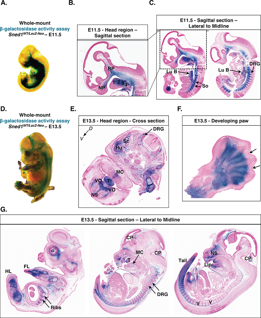 Figure 6.