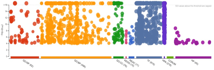 Figure 5