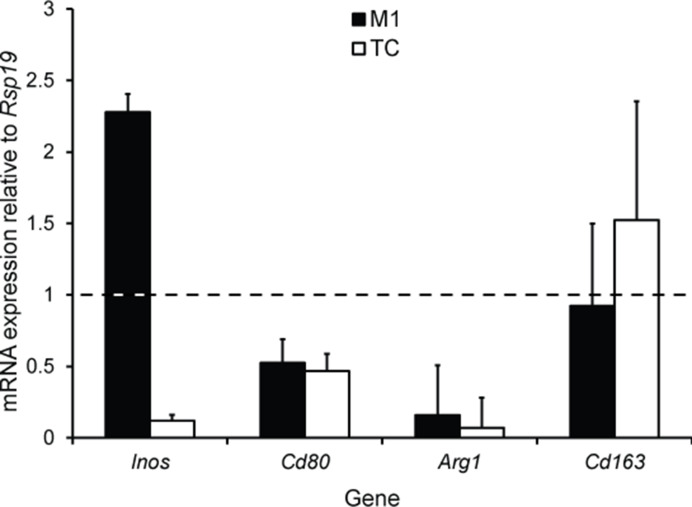 Figure 6—figure supplement 1.