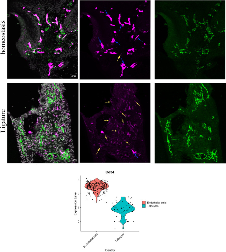 Figure 3—figure supplement 2.