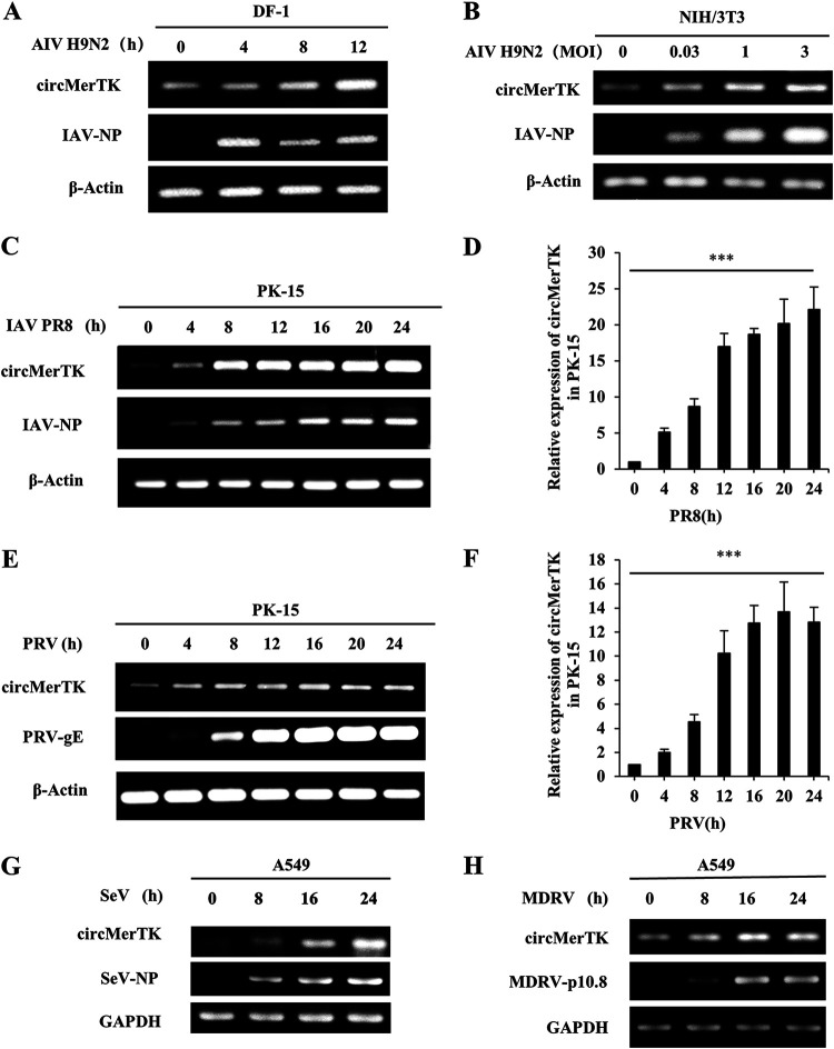 FIG 3