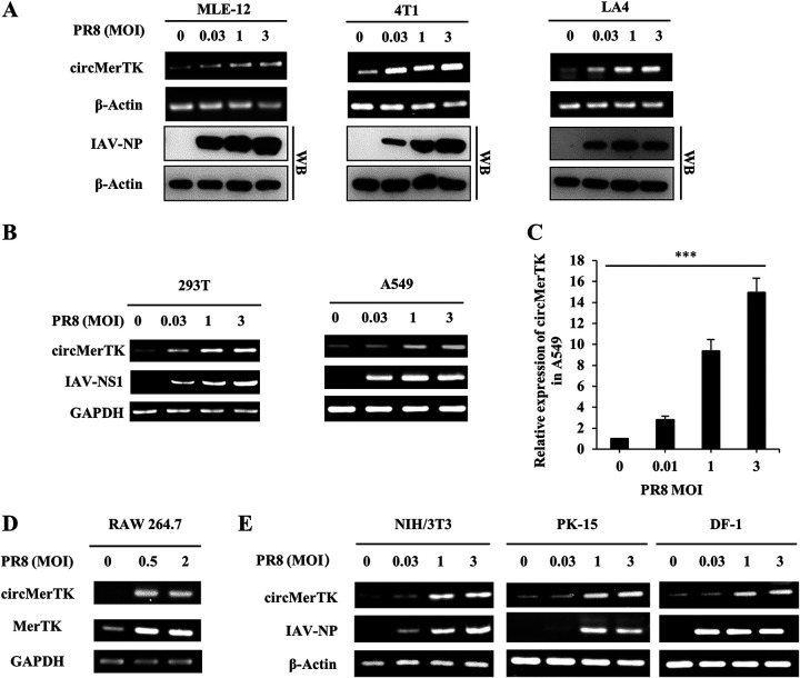 FIG 2